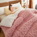 Super Thick Autumn Winter Warm Blanket for Bed Artificial Lamb Cashmere Weighted Blanket Soft Comfortable Warmth Quilt Comforter